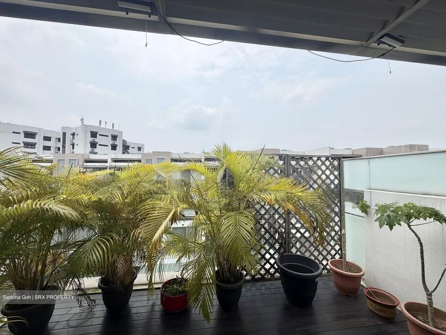 Este Villa (D28), Terrace #634665901